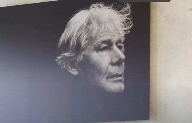 Portret Paul van Vliet