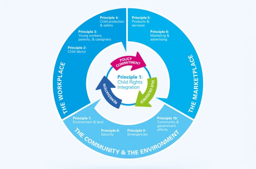 Childrens rights integration wheel