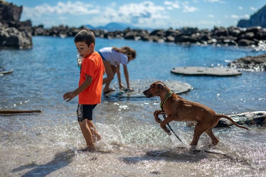 Jongen speelt met hond in branding op Saba