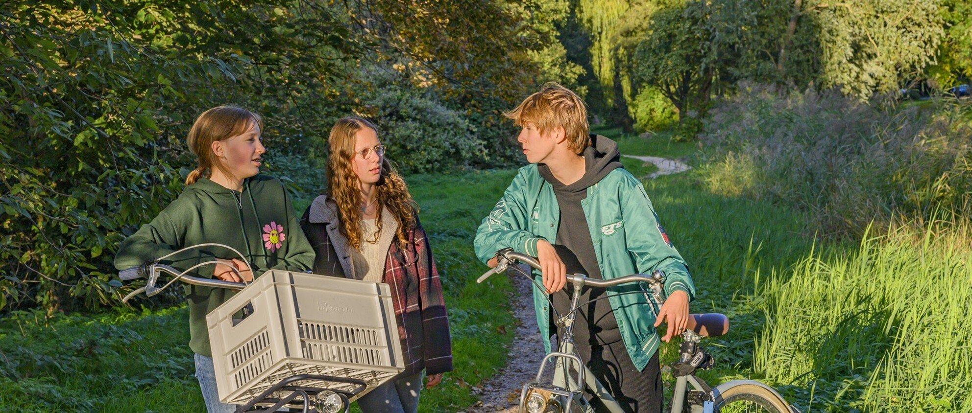 Jongeren met fiets kletsen in parkje