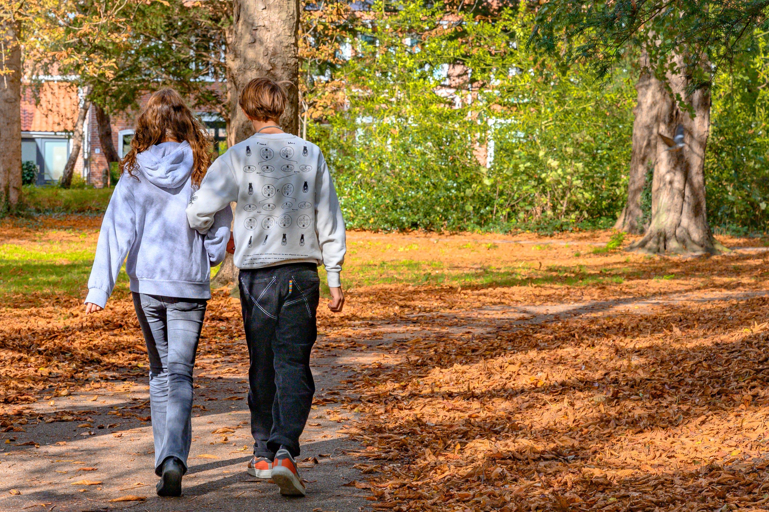 Nederlandse jongeren lopen gearmd door het bos.