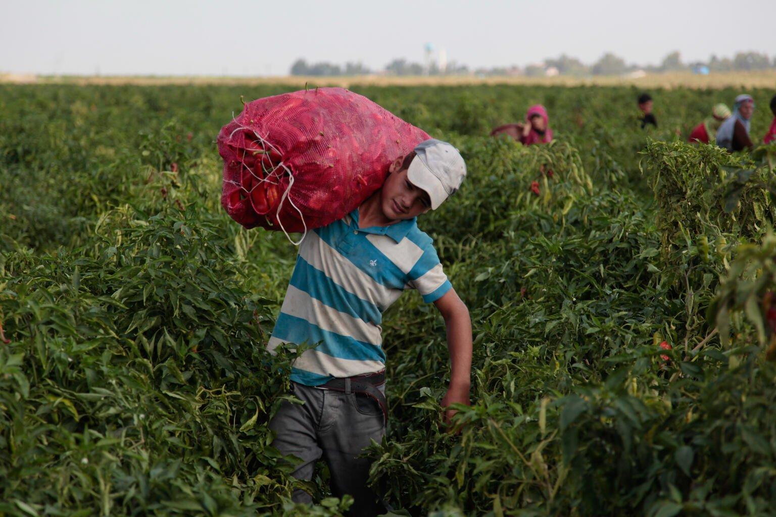 Jongen kinderarbeid Turkije