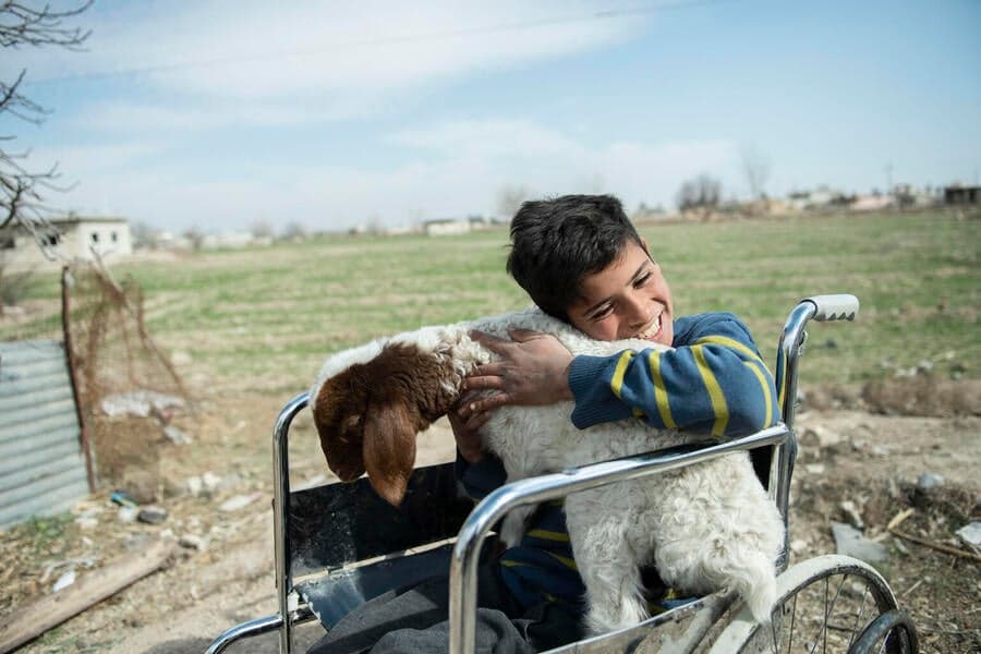 Azzam in rolstoel met geit op schoot
